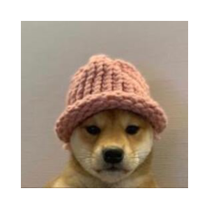 dogwifhat (WIF)